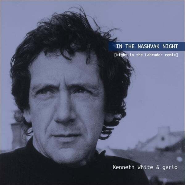 Cover art for In the Nashvak Night - Night in the Labrador Remix.